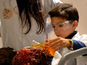 El CSIC  se suma a la XVIII Semana de la Ciencia de Madrid con más de 150 actividades