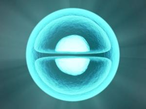Pääbo: La modificación genética en embriones puede llevar a una nueva especie