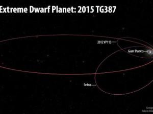 Las órbitas del nuevo planeta enano extremo, 2015 TG387, y sus objetos de la nube interna de Oort, 2012 VP113 y Sedna, en comparación con el resto del Sistema Solar. / Ilustración de Roberto Molar Candanosa y Scott Sheppard, cortesía de Carnegie Institution for Science