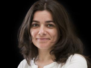 Patricia Horcajada Cortes. Premio Miguel Catalán 2016 a investigadores de menos de 40 años.