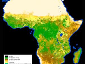 Cobertura terrestre africana. / contains modified Copernicus Sentinel data (2015-2016), processed by Land Cover CCI, ESA