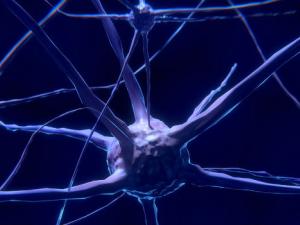 La neurociencia, ante el reto de manejar la incertidumbre