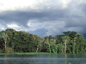 Vista de la Amazonia. / Omer Bozkurt (FLICKR)