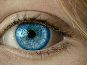 Un biomarcador en la retina podría detectar el párkinson. / cocoparisienne (PIXABAY)