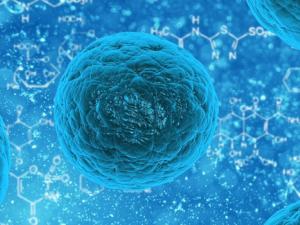 Las células madre cancerígenas aparecen en una etapa posterior del desarrollo del tumor