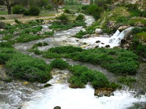 Nacimiento del río Segura en Pontones (Jaén). /  Marczoutendijk (WIKIMEDIA)