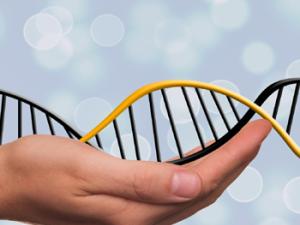 Del deseo a la realidad: la edición genética (aún) no está preparada para tratar a pacientes