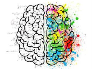 El neurocientífico Gustavo Deco bromea: "Sobre el cerebro básicamente no sabemos nada". / ElisaRiva (PIXABAY)