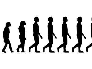 Los análisis indican que la mayor parte del flujo de los genes neandertales en los primeros humanos modernos se originó de una o más poblaciones que divergieron de los últimos neandertales. / Clker-Free-Vector-Images (PIXABAY)