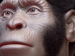 El Homo naledi era más joven de lo que se pensaba