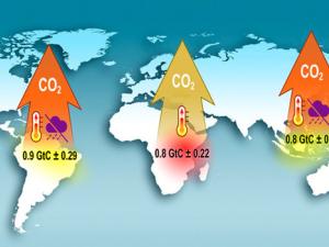 Infografía que representa los niveles inusualmente altos de liberación de dióxido de carbono desde tres continentes con zonas tropicales durante el fenómeno de El Niño en 2015. / NASA-JPL / Caltech