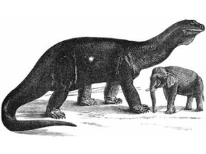 Ilustración de un Atlantosaurus. / Camille Flammarion (WIKIMEDIA COMMONS)