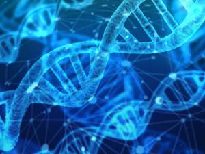 ¿Qué podemos esperar de la edición genética en 2019?