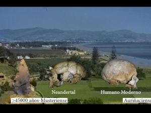 Cueva de Bajondillo y Bahía de Málaga a finales de la década de los 50. En primer plano cráneo de Neandertal e industrias líticas asociadas Musteriense recuperadas en Bajondillo (derecha) y cráneo de Humanos modernos e industria Auriñaciense de Bajondillo (izquierda).  Los cráneos proceden de la cueva de La Chapelle-aux-Saints (Neandertal) y Abri Cromagnon (Humano moderno) en Francia. / UAM