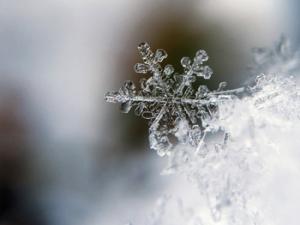 El hecho de que los líquidos precalentados se congelen más rápidamente que los que ya estaban fríos fue observado por primera vez en el siglo IV a.C. por Aristóteles. / UC3M