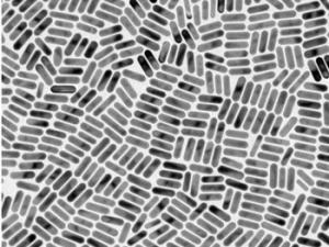 Nano-palitos de oro ultramonodispersos que se comportan como clones desde un punto de vista óptico. / Guillermo González Rubio