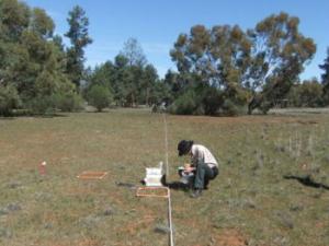 Investigadores recogiendo muestras de suelo en Nueva Gales del Sur (Australia). / David Eldridge