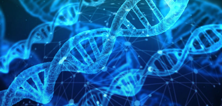 ¿Qué podemos esperar de la edición genética en 2019?