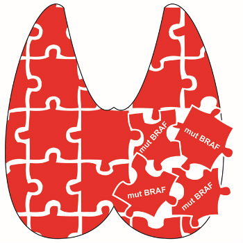 Esquema representando una glándula tiroidea como un puzzle. La desorganización de estas piezas por la mutación del oncogén BRAF (mut) es determinante junto con la edad para el mal pronóstico. / UAM