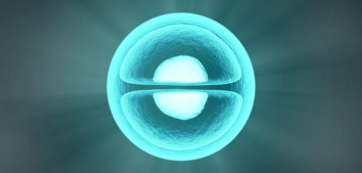 Nuevo paso hacia la creación de una célula artificial