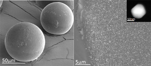Vista de una de las microcápsulas de resina (izquierda) en la que se encuentran protegidas las nanopartículas de oro (que se ven como puntos brillantes en la ampliación de la foto derecha). En el recuadro de la esquina se muestra una nanopartícula individual