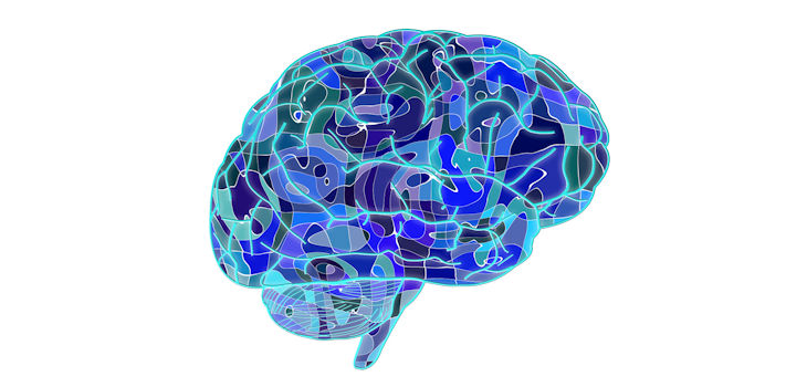 Nueva metodología para la rehabilitación personalizada de pacientes con daño cerebral