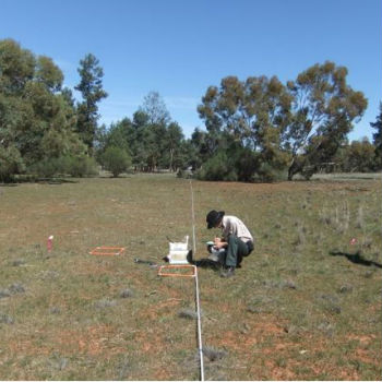  Investigadores recogiendo muestras de suelo en Nueva Gales del Sur (Australia). / David Eldridge 