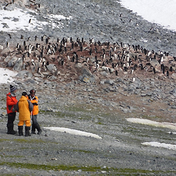 Describen el impacto humano en la Península Antártica a partir de la presencia de contaminantes emergentes