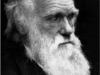 o_Darwin