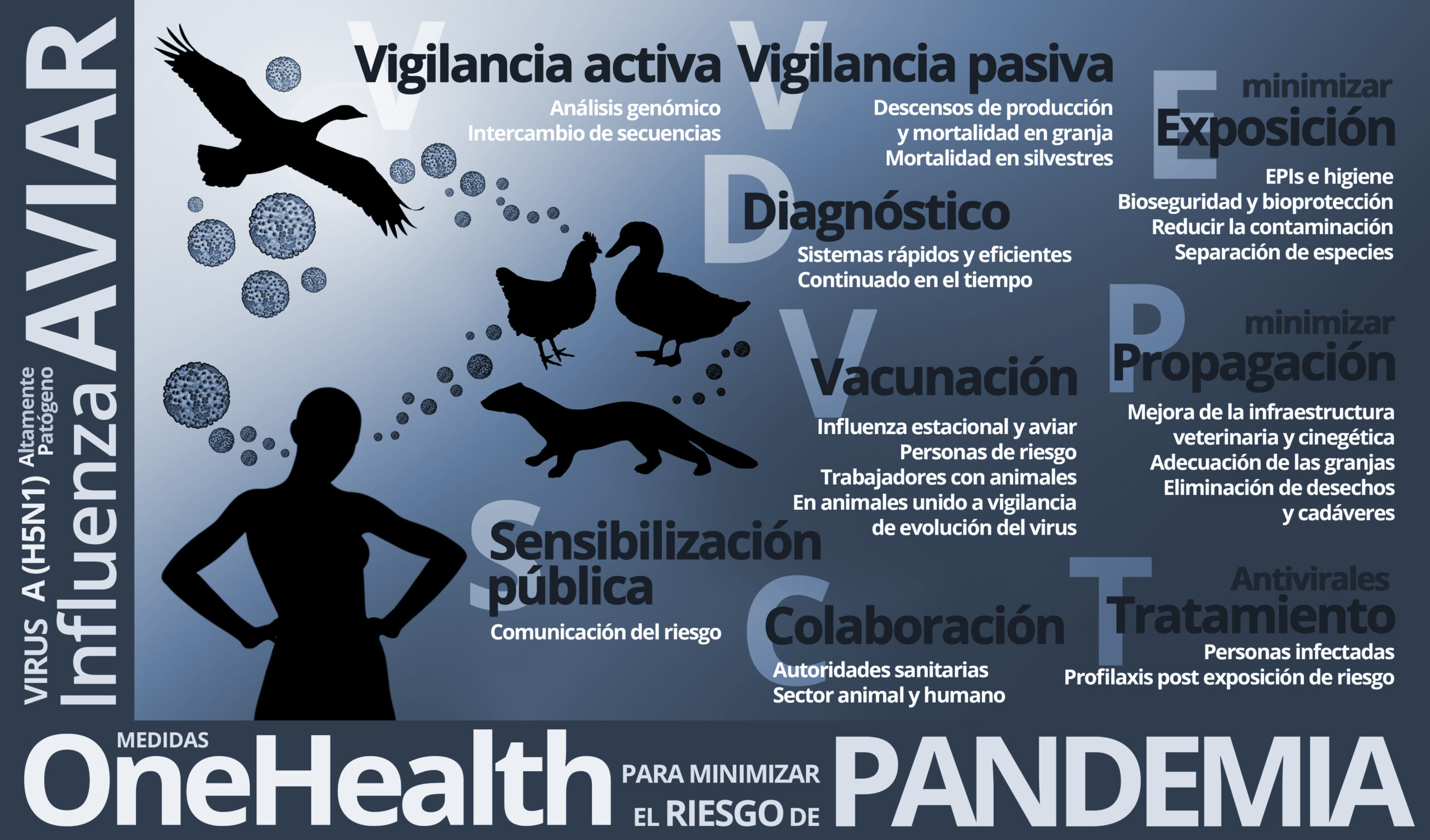 Claves para evitar una pandemia de gripe aviar. Sergio González Domínguez. VISAVET-UCM