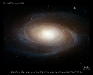 o_M81_HST