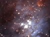 o_HST_Trapezium_NICMOS
