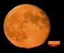 o_GF_LLaveder_Moon_Green