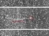 o_Sun_Encke_STEREO