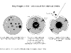 o_Vesta_Estructura_Historia