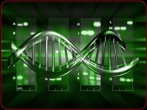 ADN y su manipulación