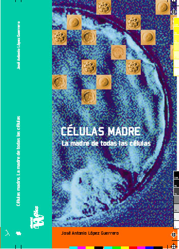 CelulasMadre