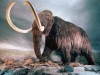 o_Mamut