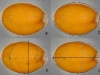 figure1