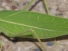 1500x500