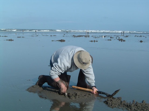 Clamming-001