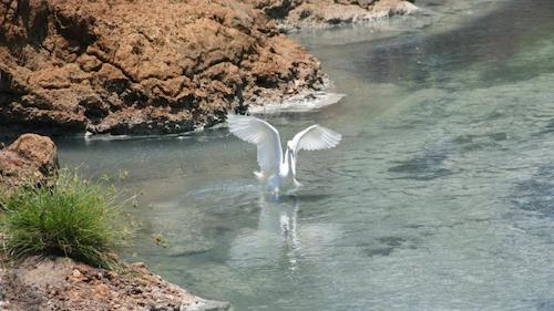 2_Snowy_IMG8710_LukasJ_0