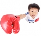 o_boxingboy