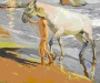 o_Caballo