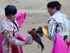 o_Banderilleros y gallo 06-06-08-baja
