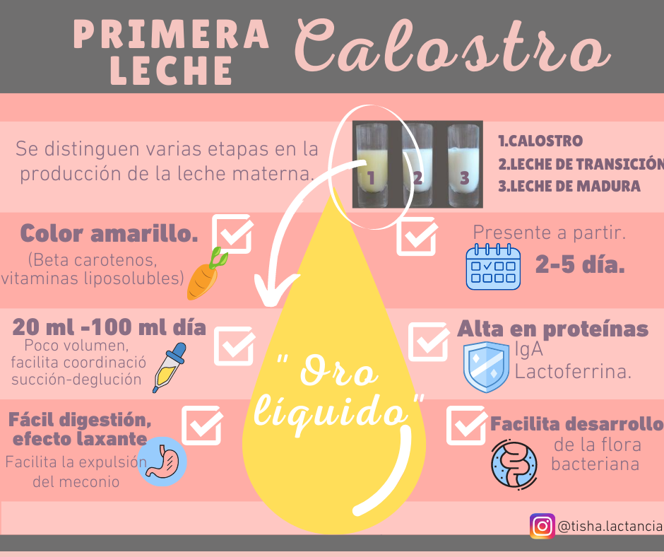 El Calostro es la primera leche materna. Es alimento suficiente para los primeros días de vida.