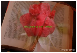 un-libro-y-una-rosa-ii un-libro-y-una-rosa-ii