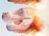 o_090929-science-trex-vlarge-11a