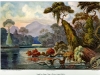 o_Haeckel_Ceylon_Jungle_River_lr
