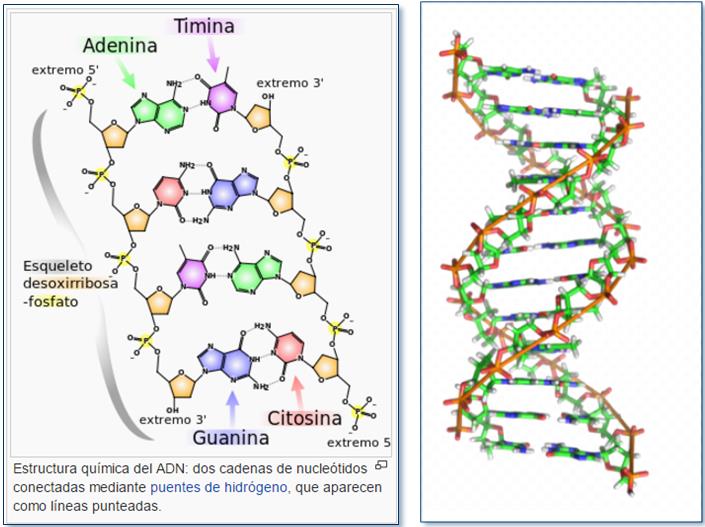 LOS GUARDIANES DEL ADN | Patentes y Marcas